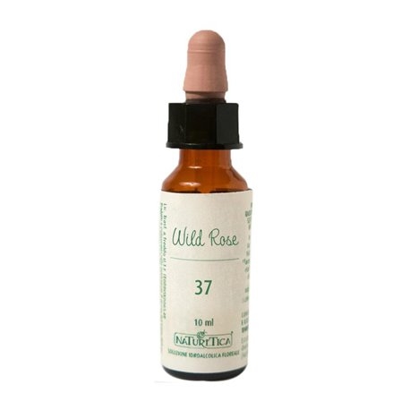 Naturetica Fiore di Bach Wild Rose