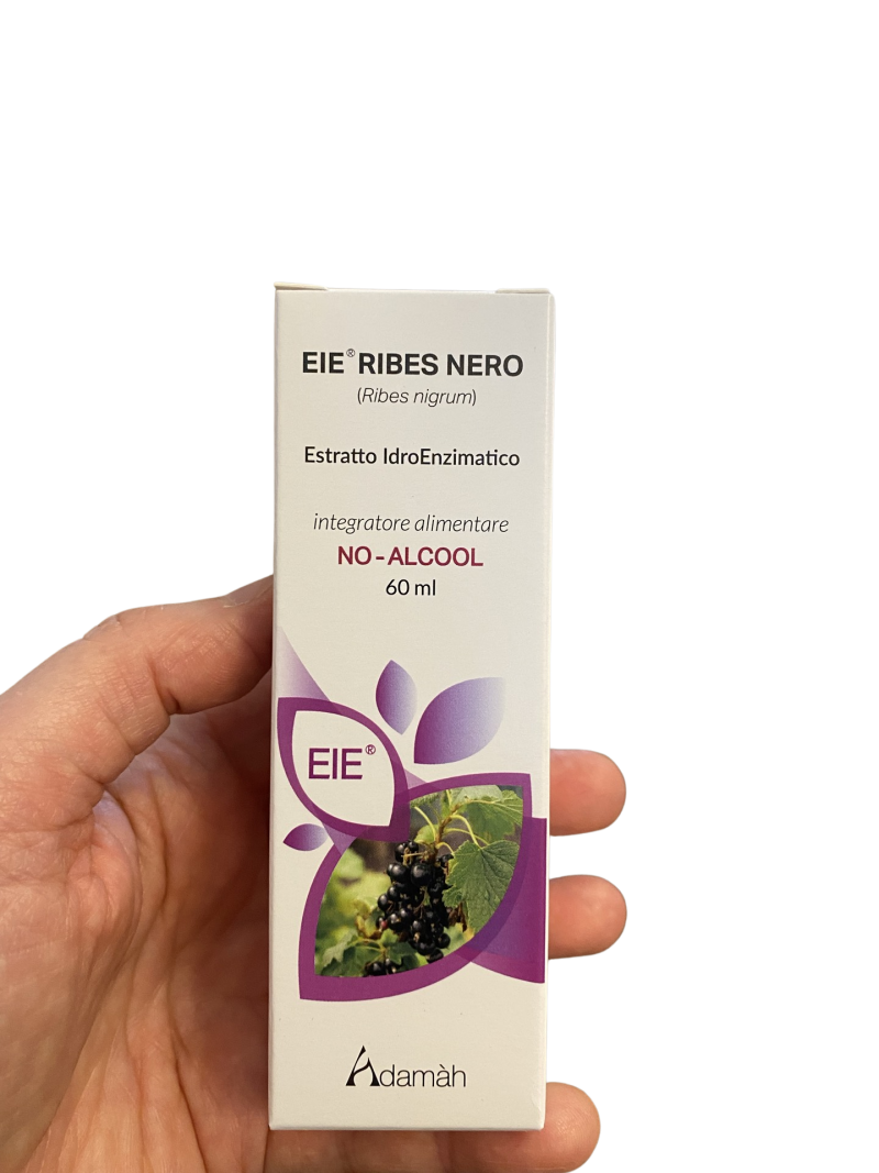 Ribes Nero Estratto Idroenzimatico 60 ml Adamah